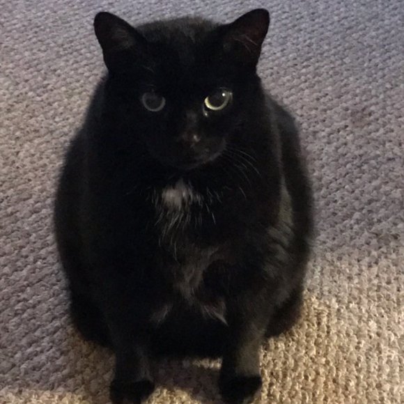 Meet your Posher, Nick - Picture 1 of 1